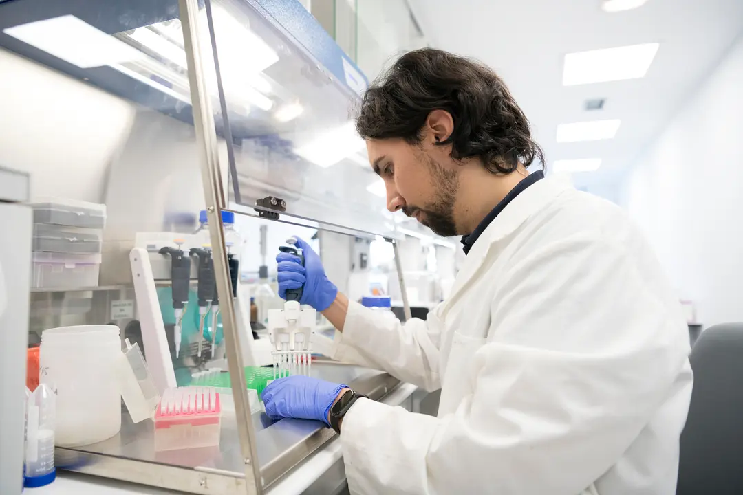 Álvaro Fueyo, consultor ambiental y responsable del área de Laboratorio y Genética Ambiental en TAXUS Medio Ambiente, utilizando una pipeta multicanal para cargar una placa de PCR / Marta Martín